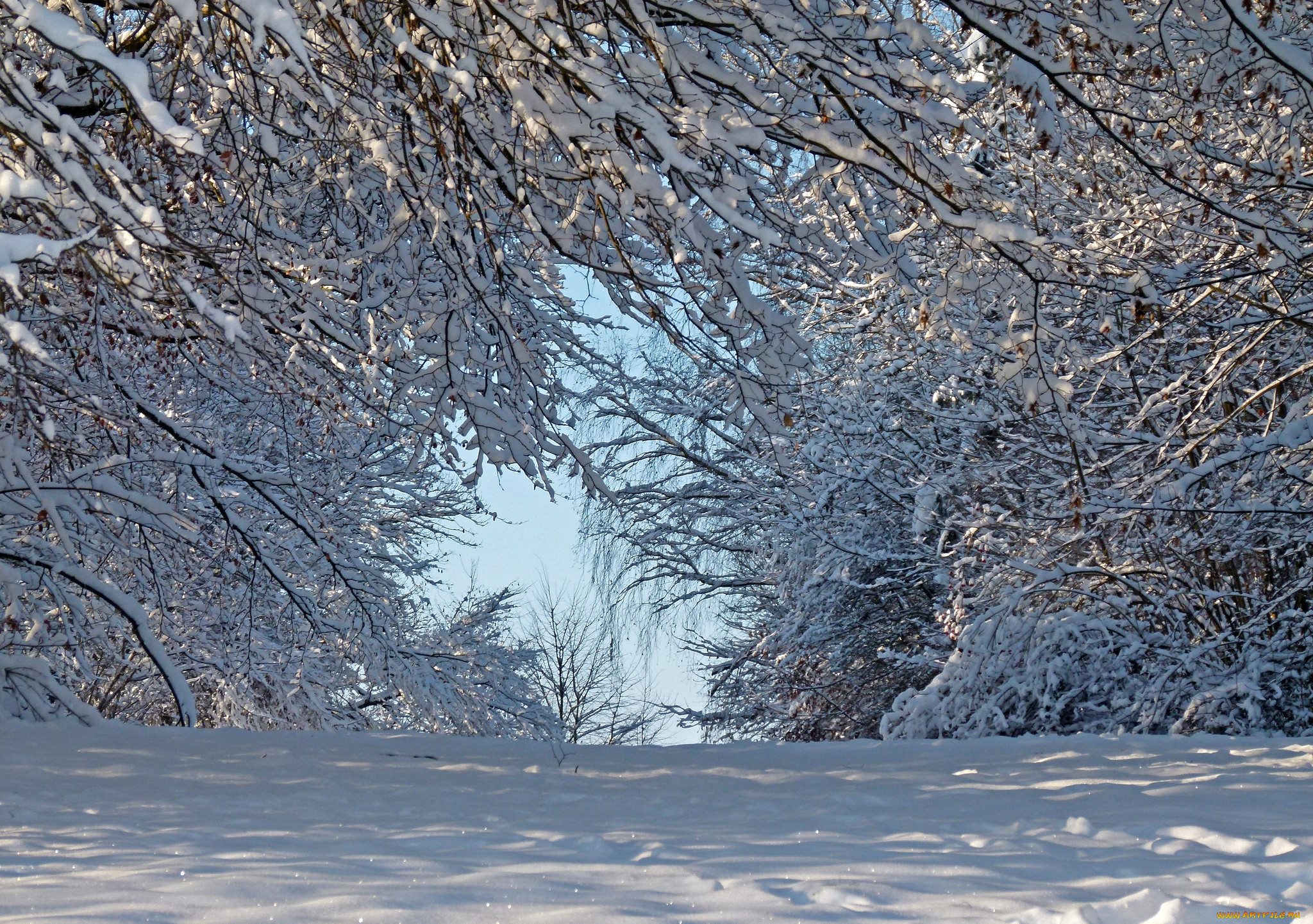 Winter schnee. Эпизод ND природа зима. Зима природа клипарт фото. Фоновые изображения зима до 80 Кбайт. Снег жима г 3д картинки.